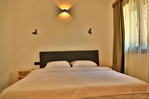 a bedroom with a large bed with birds on the wall at Olympos Five Rooms Apart no 1 in Antalya
