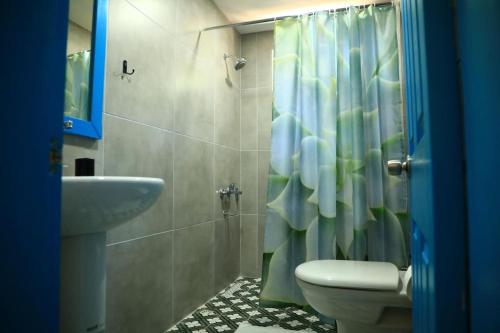 ein Bad mit einem Waschbecken, einem WC und einer Dusche in der Unterkunft Olympos Five Rooms Apart no 1 in Antalya