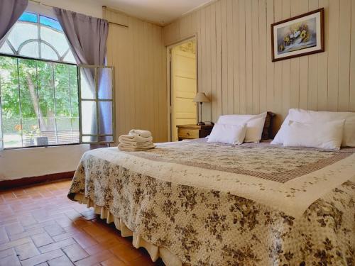 1 dormitorio con cama grande y ventana grande en Posada Don Salvador en San Antonio de Areco