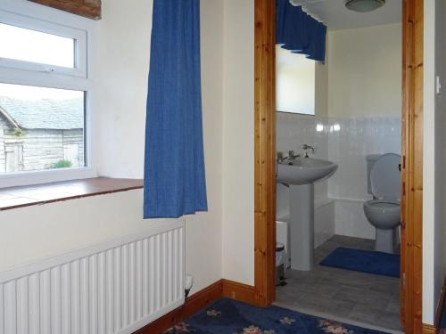 a bathroom with a toilet and a sink at Glan Wye in Rhayader