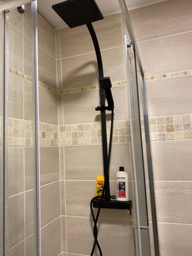 La salle de bains est pourvue d'une douche avec un pommeau de douche. dans l'établissement Maison DE LUR, à Périgueux