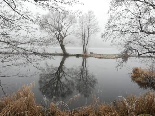 a lake with trees in the middle of it at Ferienhof Schaubmeier in Klaffer am Hochficht
