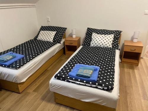 pokój z 2 łóżkami i 2 szafkami nocnymi w obiekcie Evita Vendégház w mieście Sajókápolna