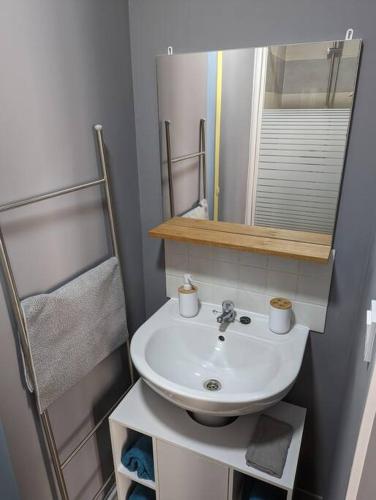 La salle de bains est pourvue d'un lavabo et d'un miroir. dans l'établissement Appartement cocooning, à Marseille