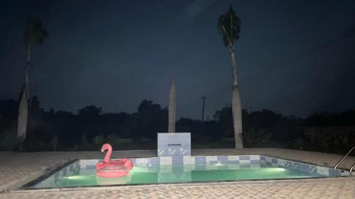 a swimming pool with a pink flamingo in a fountain at Entrie 2 acre Farmhouse with Pool, 2 rooms & jacuzzi in both rooms in Gurgaon