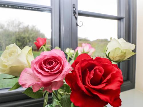 a vase filled with red and white roses in a window at Nine Acres Barn in Marlborough