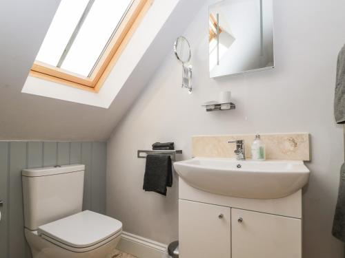 a bathroom with a sink and a toilet and a skylight at Nine Acres Barn in Marlborough