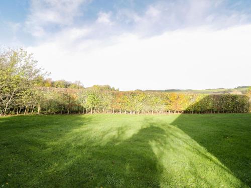 a large green field with a long shadow on it at Nine Acres Barn in Marlborough