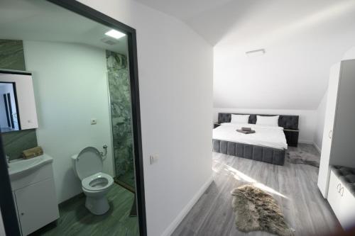 a bedroom with a bed and a toilet at Pensiunea Lor in Sighetu Marmaţiei