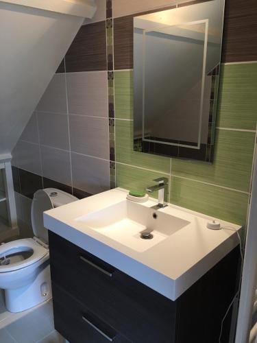 a bathroom with a sink and a toilet at Gîte Le Chantecaille in Mer