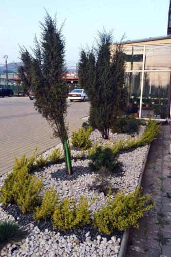 Cazare ANIMA tesisinin dışında bir bahçe