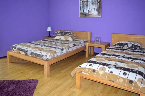 - 2 lits dans une chambre aux murs violets dans l'établissement Cazare ANIMA, à Baia Mare
