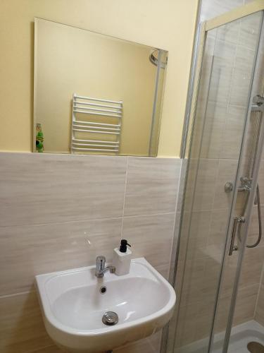a bathroom with a sink and a shower at Pokoje Mira in Torzym