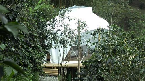 Takaru Hoteles Glamping