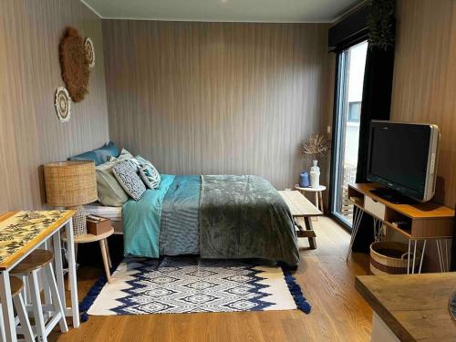 een slaapkamer met een bed en een televisie. bij Le Lodge in Belin-Beliet