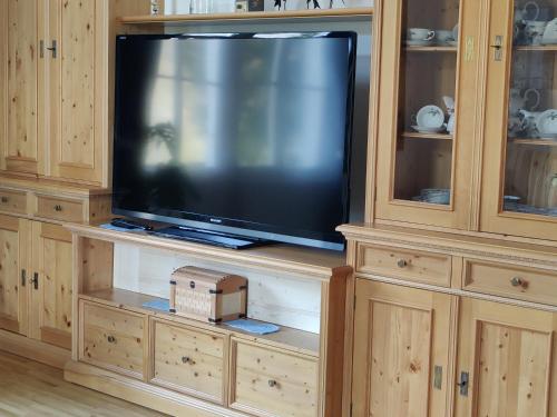 Wohnen am See Villa Schrötter direkt am Traunseeにあるテレビまたはエンターテインメントセンター