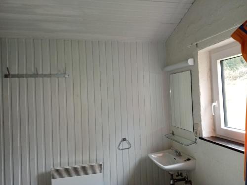 een badkamer met een wastafel en een spiegel bij Le repaire des belettes Vallée de Rabais in Virton