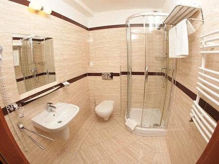 La salle de bains est pourvue d'une douche, d'un lavabo et de toilettes. dans l'établissement Willa Nowa, à Ciechocinek