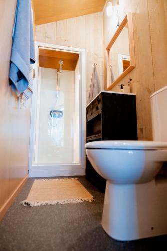 a bathroom with a white toilet and a mirror at Safari Lodge, glamping aan zee! in Callantsoog
