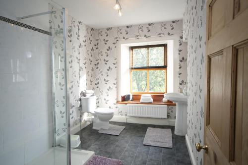 HenllanにあるTywysogのバスルーム(トイレ、洗面台付)、窓が備わります。