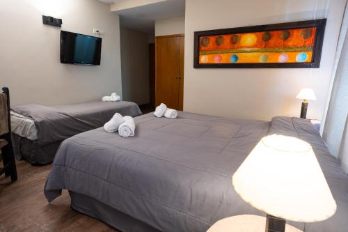 Letto o letti in una camera di Hotel Park Bariloche