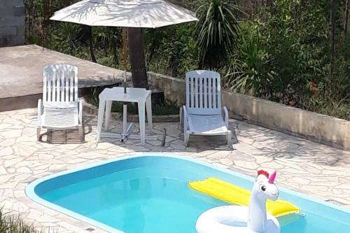 a pool with two chairs and a plastic horse in the middle at Chácara Camargo Silva in Mairiporã