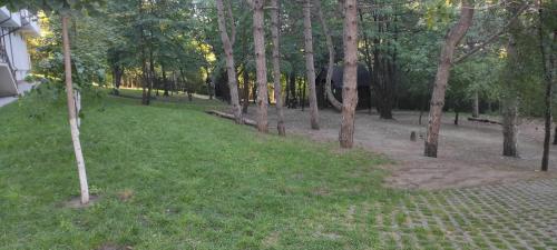 un chemin dans un parc planté d'arbres et d'herbe dans l'établissement English Breakfast, à Chişinău