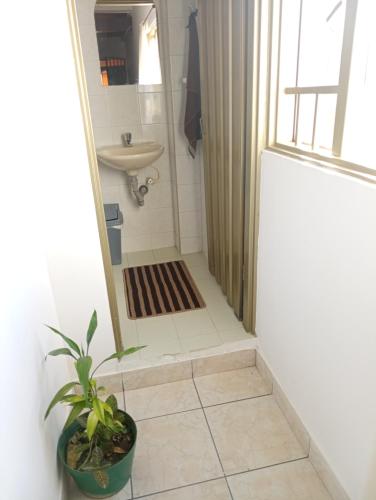 a bathroom with a shower and a sink and a plant at Hermoso apartamento duplex en el centro histórico de San Gil, 5 in San Gil