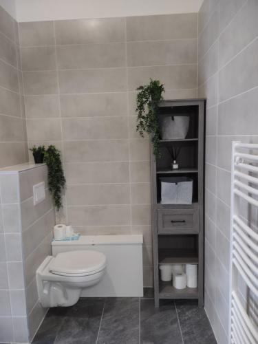 La salle de bains est pourvue de toilettes et d'une étagère avec des plantes. dans l'établissement Roomy studio near town and ski lift, free WiFi and parking, à Saint-Gervais-les-Bains