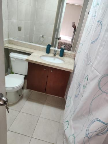 y baño con lavabo, aseo y espejo. en Departamento Santiago Centro en Santiago