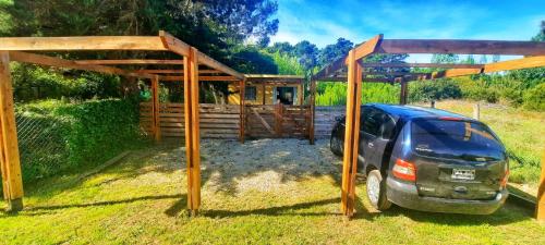 Las amarillas – Photos 3