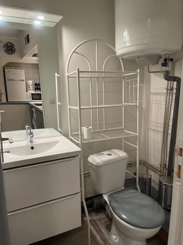 a white bathroom with a toilet and a sink at Chablis : petit studio en plein centre ville in Chablis