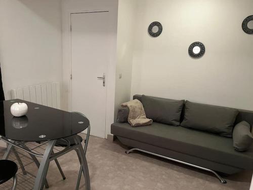 sala de estar con sofá verde y mesa en Chablis : petit studio en plein centre ville, en Chablis