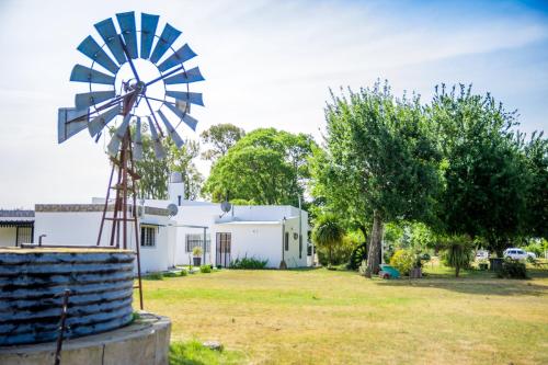 Taman di luar Posada Casablanca