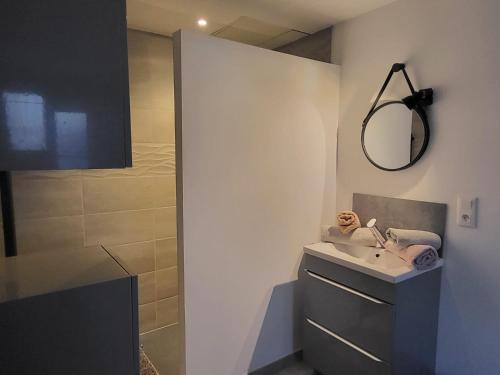 een badkamer met een wastafel en een douche bij Porticus saunarie in Malaucène