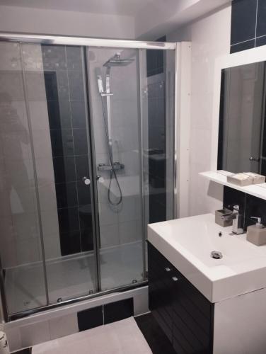 La salle de bains est pourvue d'une douche et d'un lavabo blanc. dans l'établissement Moissac Charmant Appartement avec Jardin, à Moissac