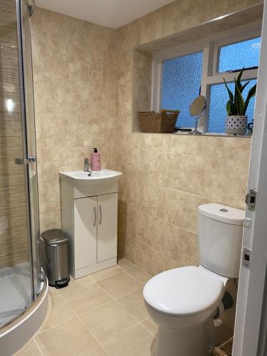 uma casa de banho com um WC, um lavatório e um chuveiro em Two Bedroom Cosy Character Cottage Sleeps 4 