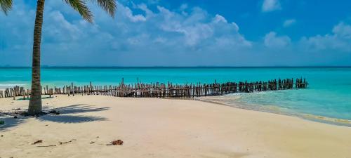 uma praia com uma cerca e uma palmeira em Casa Nahua Maya Centro Isla Mujeres em Isla Mujeres