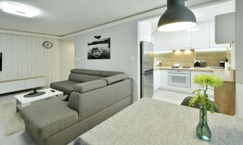 a living room with a couch and a kitchen at Apartament Centrum Śródmieście in Olsztyn