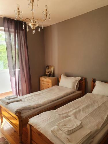 Duas camas num quarto com uma janela em 2 Bedroom Apartment City em Blagoevgrad