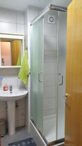 bagno con doccia e lavandino di Apartman MM012 a Požarevac