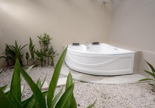 a white bath tub sitting in a room with plants at Bahia del Sol Beach front Boutique Hotel in Potrero