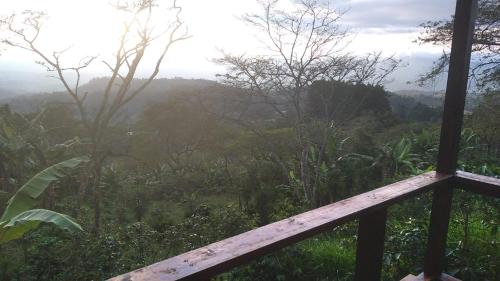 a view of a forest from a wooden balcony at Hotel Montecillos in San José