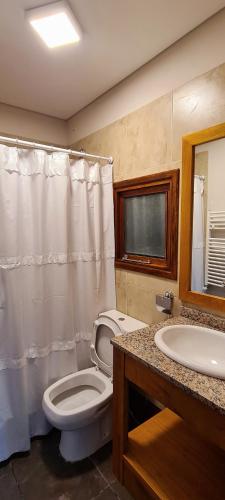 a bathroom with a toilet and a sink at Kuntur Apart in El Chalten
