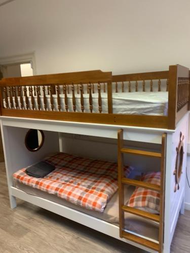 two bunk beds in a room with a bed at The Ground Snug Private Room in Dublin