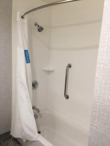 a bath tub with a shower with a shower curtain at Hampton Inn Old Bridge NJ in Old Bridge