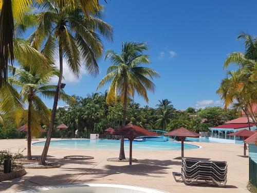 a swimming pool with chairs and palm trees on a beach at Caraïbes Apparts Resorts-Village vacance piscine 4 étoiles-Accès direct mer in Sainte-Anne