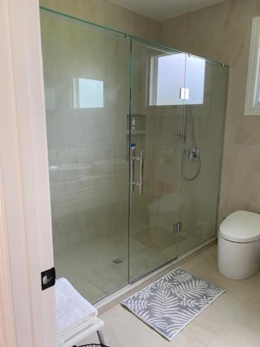 a bathroom with a glass shower with a toilet at Lifestyle Guesthouse in Dairy Flat