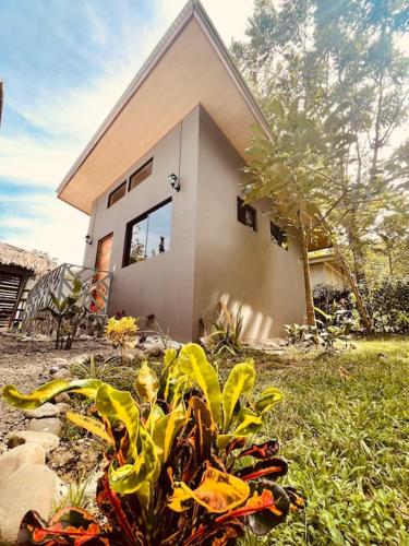 CASA NOIL, Beautiful Eco House near the beach!
