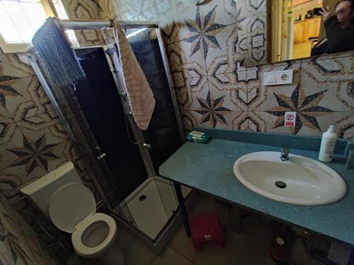 a bathroom with a sink and a shower and a toilet at Alsoveto Apartment in Kosd